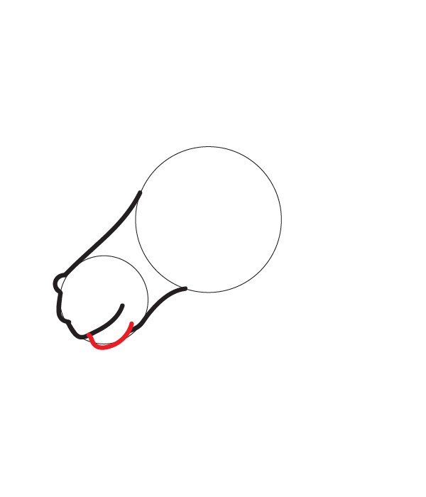 How to Draw a Horse Head - Step 6