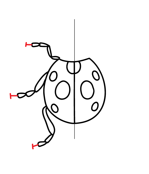 How to Draw a Ladybug - Step 10
