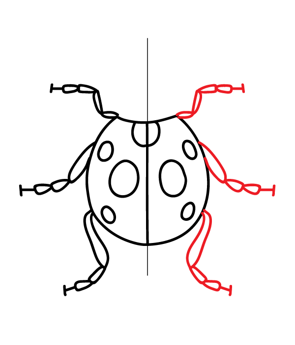How to Draw a Ladybug - Step 11