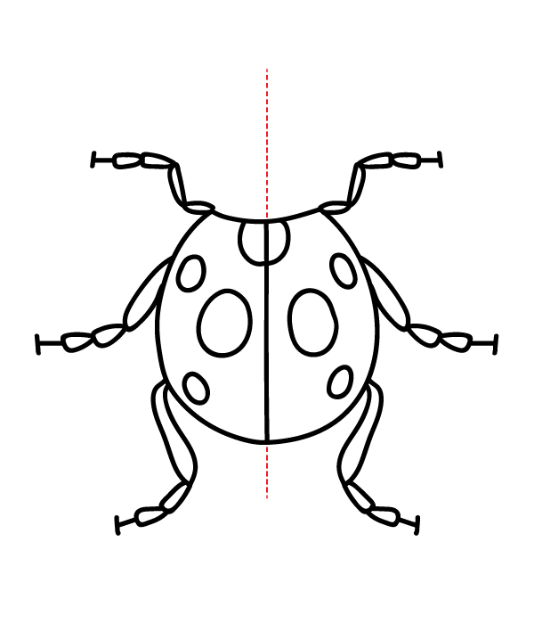 How to Draw a Ladybug - Step 12