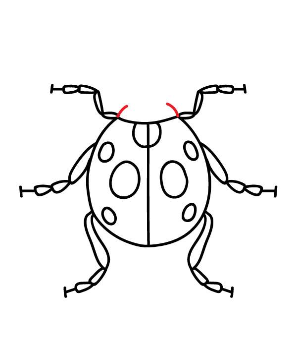How to Draw a Ladybug - Step 13