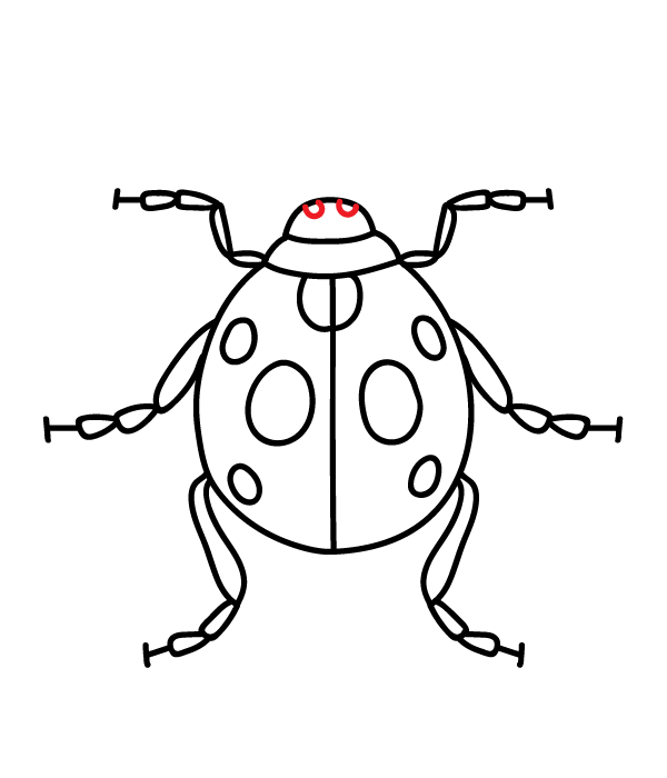 How to Draw a Ladybug - Step 15