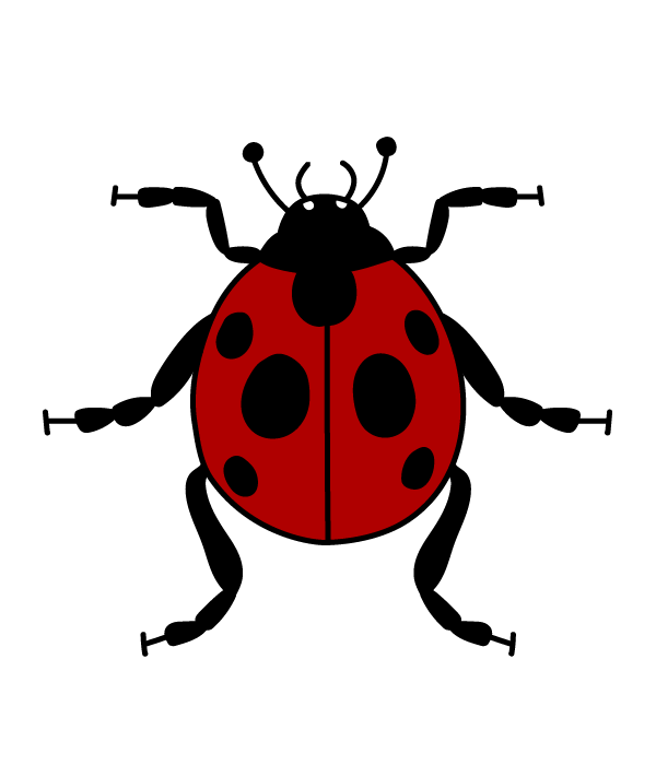 How to Draw a Ladybug - Step 18