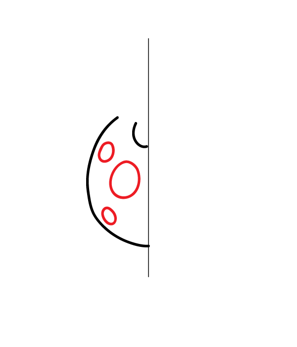 How to Draw a Ladybug - Step 4