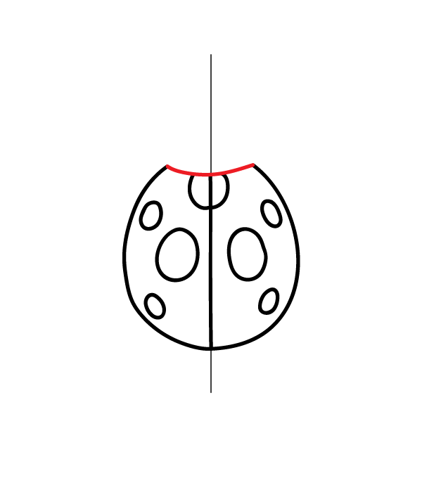 How to Draw a Ladybug - Step 7
