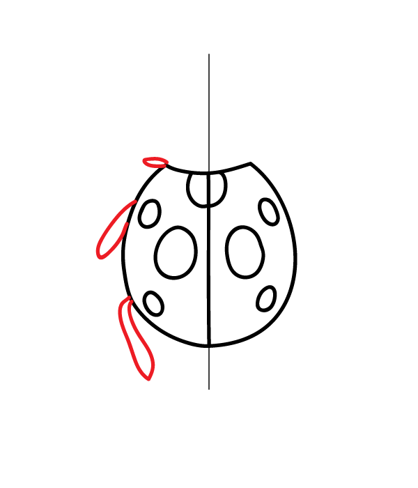 How to Draw a Ladybug - Step 8
