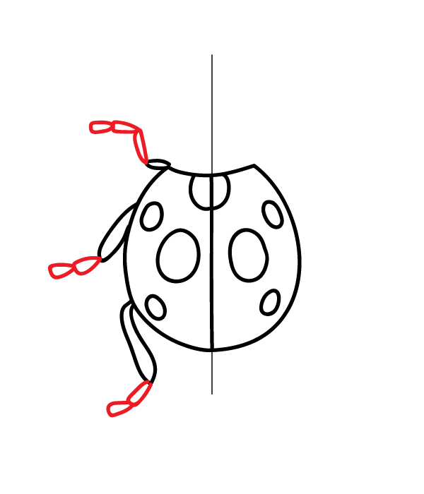 How to Draw a Ladybug - Step 9