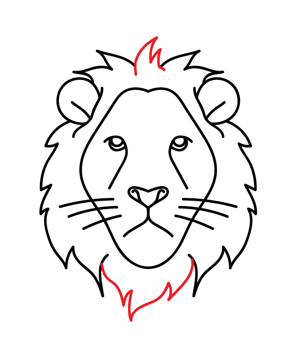 How to Draw a Lion Head - Step 14