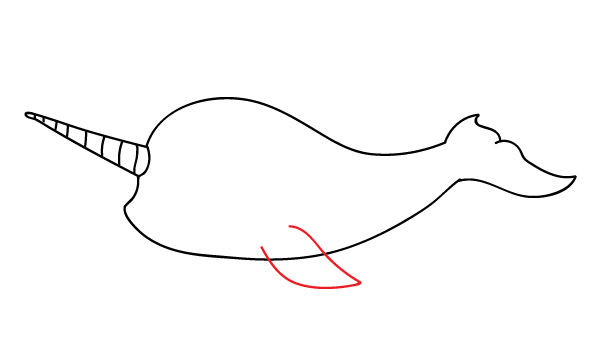 How to Draw a Narwhal - Step 10