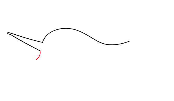 How to Draw a Narwhal - Step 3
