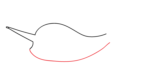 How to Draw a Narwhal - Step 4