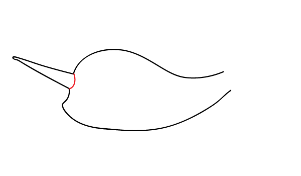 How to Draw a Narwhal - Step 5