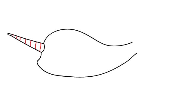 How to Draw a Narwhal - Step 6