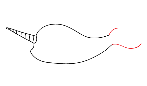 How to Draw a Narwhal - Step 7