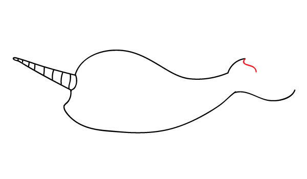 How to Draw a Narwhal - Step 8