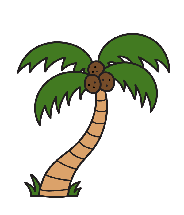 How to Draw a Palm Tree - Step 11