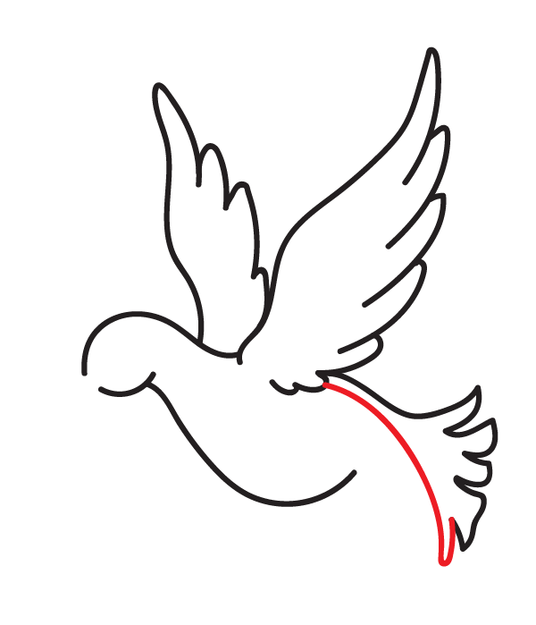 How to Draw a Peace Dove - Step 11