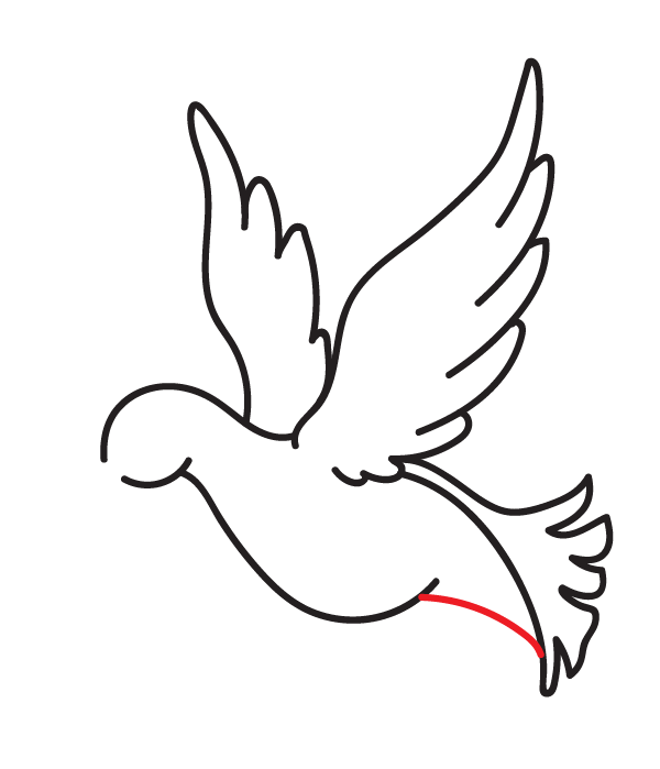 How to Draw a Peace Dove - Step 12