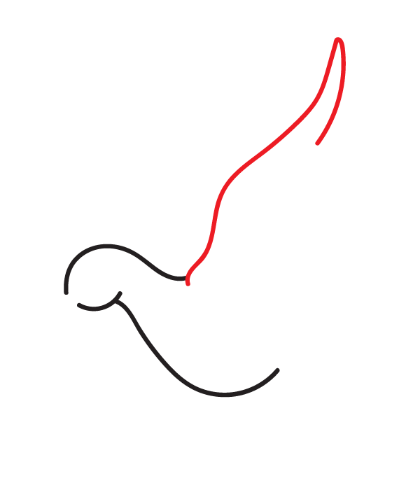 How to Draw a Peace Dove - Step 4