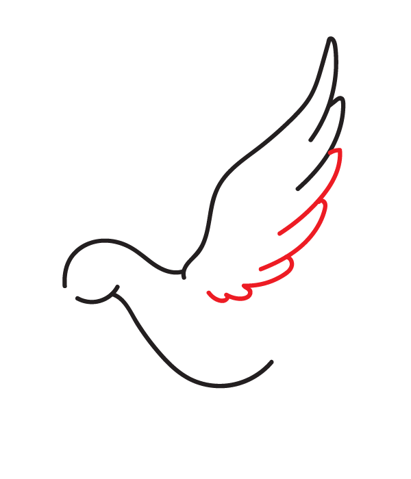 How to Draw a Peace Dove - Step 6