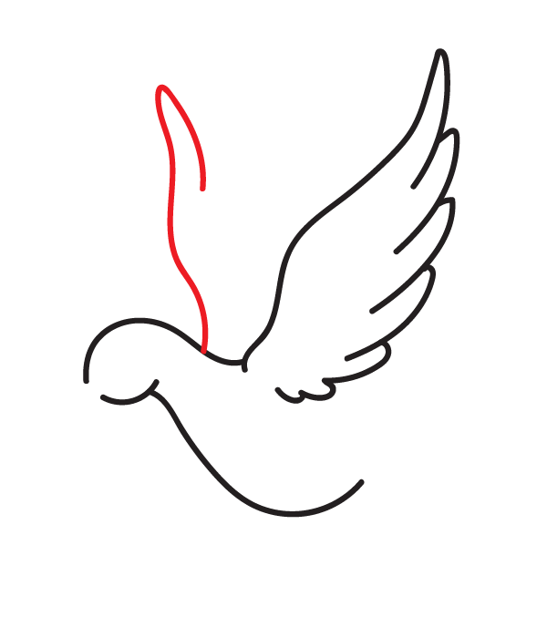 How to Draw a Peace Dove - Step 7