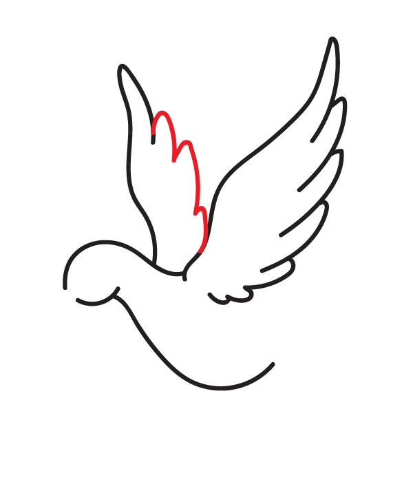 How to Draw a Peace Dove - Step 8