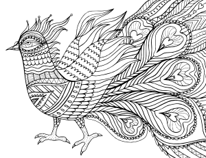 Abstract Bird Adult Coloring Page