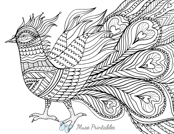 Abstract Bird Adult Coloring Page