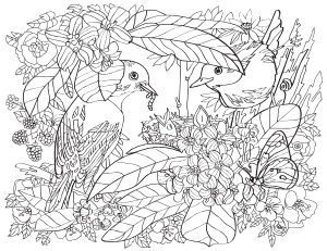 Birds and Flowers Adult Coloring Page