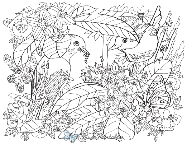 Birds and Flowers Adult Coloring Page