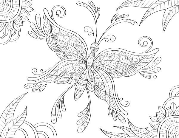 Butterfly Adult Coloring Page
