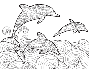 Dolphin Adult Coloring Page