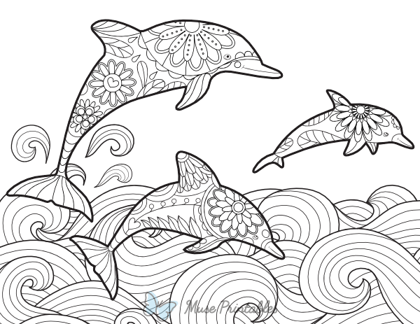 Dolphin Adult Coloring Page