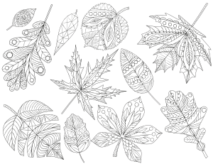 Fall Leaves Adult Coloring Page