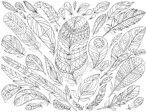 Feathers Adult Coloring Page