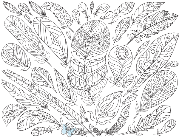 Feathers Adult Coloring Page