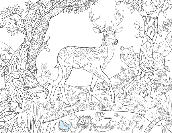 Forest Creatures Adult Coloring Page