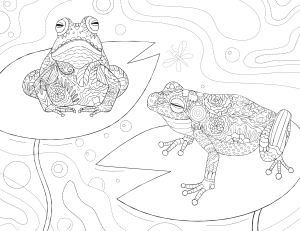 Frog Adult Coloring Page