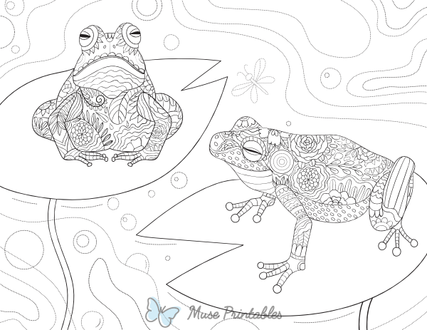 Frog Adult Coloring Page