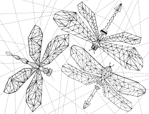 Geometric Dragonfly Adult Coloring Page