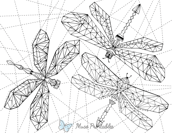 Geometric Dragonfly Adult Coloring Page