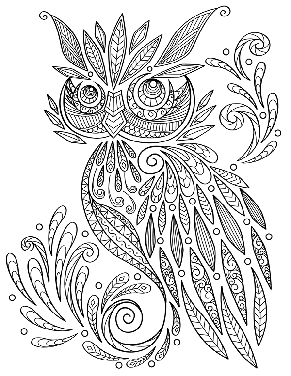 Henna Owl Adult Coloring Page