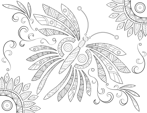 Intricate Butterfly Adult Coloring Page