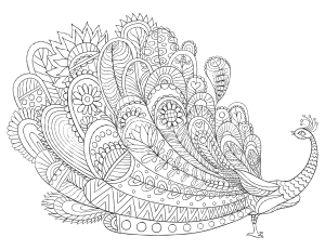 Peacock Adult Coloring Page