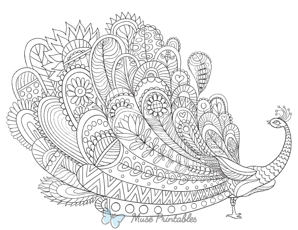 Peacock Adult Coloring Page