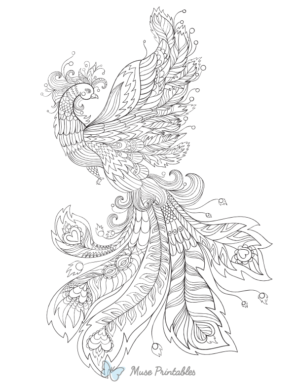 Phoenix Adult Coloring Page