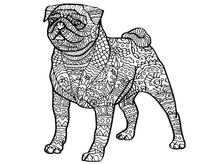 Pug Adult Coloring Page