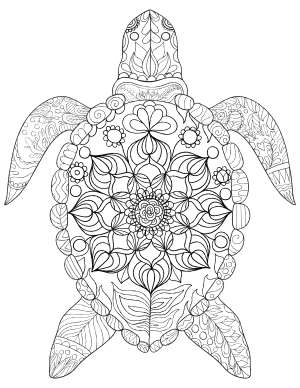 Sea Turtle Adult Coloring Page