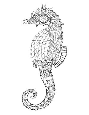 Seahorse  Adult Coloring Page