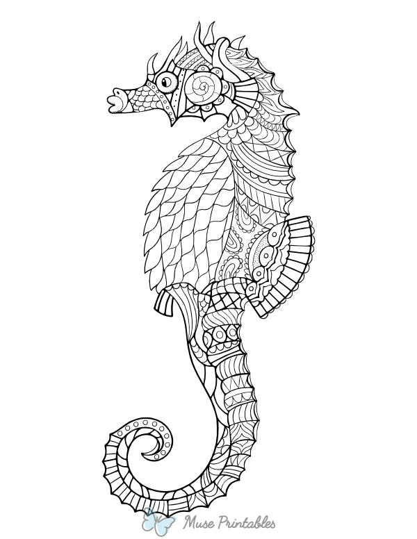 Seahorse  Adult Coloring Page